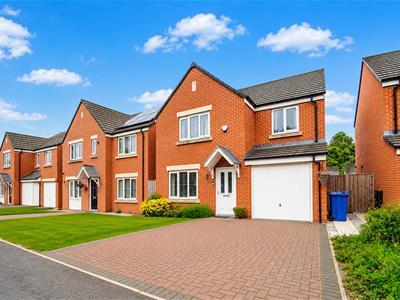 Picture 29